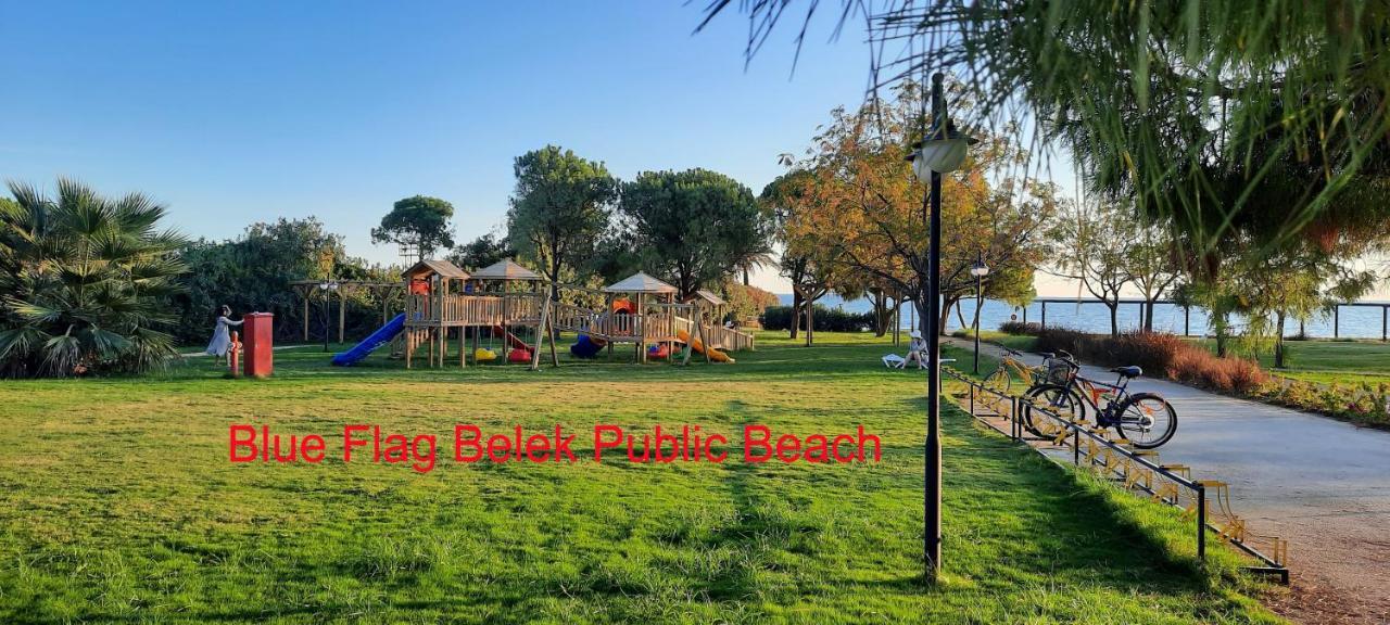 The Wind Sycamore In Villa Belek